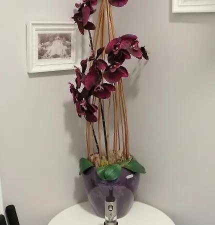 Cicha Przystan - Wyspa Solna Kolobrzeg