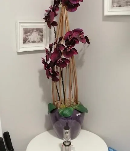 Cicha Przystan - Wyspa Solna Kołobrzeg